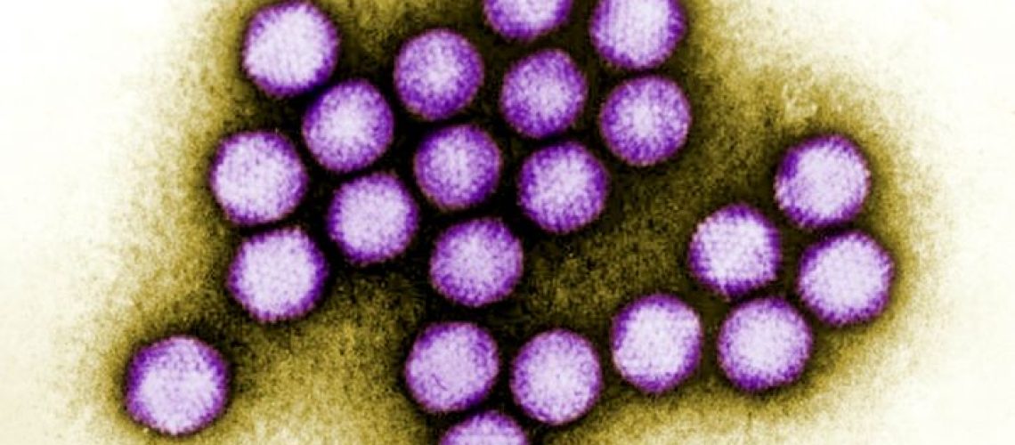 AdenovirusFreePixnio
